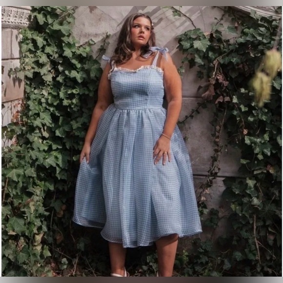 JessaKae Dresses & Skirts - IN SEARCH OF…JessaKae Blue Gingham & Lace Priscilla Organza Midi Dress, Size XL